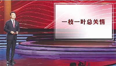 02.jpg